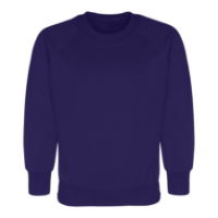 Plain Sweatshirt Junior