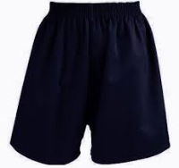 NAVYSHORTS